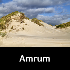 Amrum